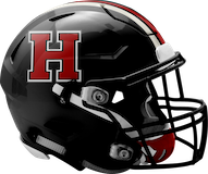 Hickory Hornets logo